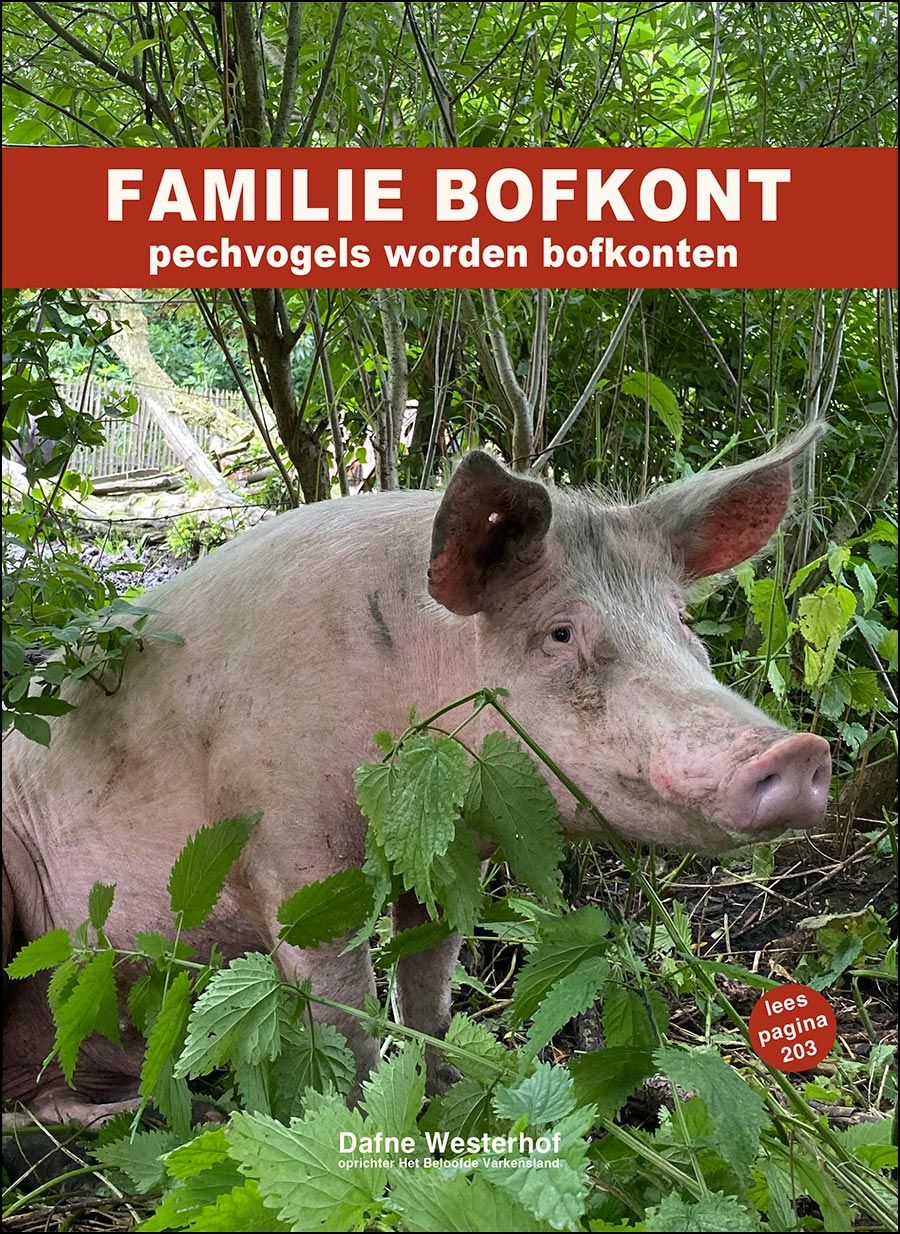 https://bofkontboek.nl/familie-bofkont-boek-omslag-koertje-pagina-203.jpg